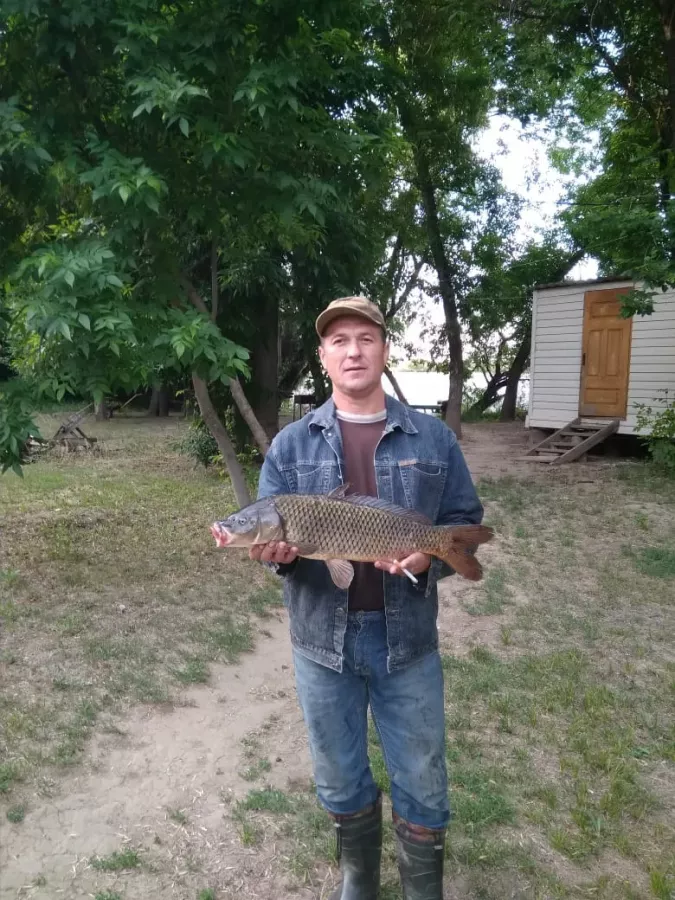 Ивушка. Рыболовные Клуб в Астрахани: Платная Рыбалка, Рыболовный Клуб, Рыбалка в Астрахани, Рыбалка на Речке, Рыбалка на Ахтубе, Рыбалка на Стерлядь, Рыбалка на Белугу, Рыбалка на Осетра, Рыбалка на Линь, Рыбалка на Карася ,