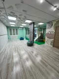 Миниатюра 30