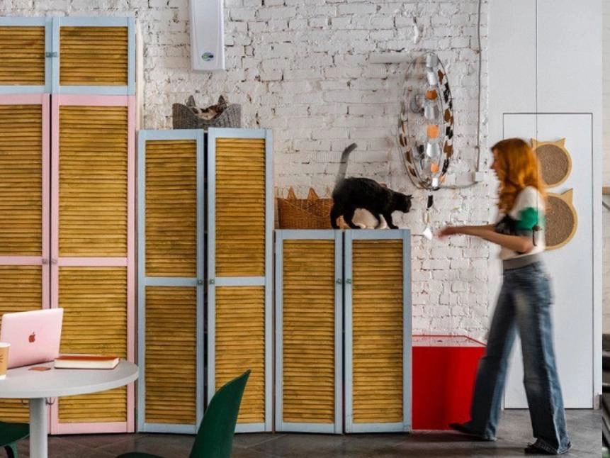 Первый коворкинг с котиками КотоБюро в Москве: Коворкинг , Коты, Коворкинг с котиками, В добрые руки , Место для работы , Антикафе, Кофейня- коворкинг , Для работы , Где работать , Аренда пространства , Аренда помещений , Аренда, Можно с ноутбуком , Фрилансер ,