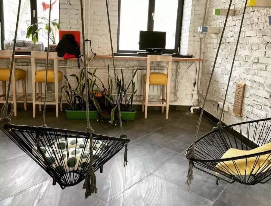 Первый коворкинг с котиками КотоБюро в Москве: Коворкинг , Коты, Коворкинг с котиками, В добрые руки , Место для работы , Антикафе, Кофейня- коворкинг , Для работы , Где работать , Аренда пространства , Аренда помещений , Аренда, Можно с ноутбуком , Фрилансер ,