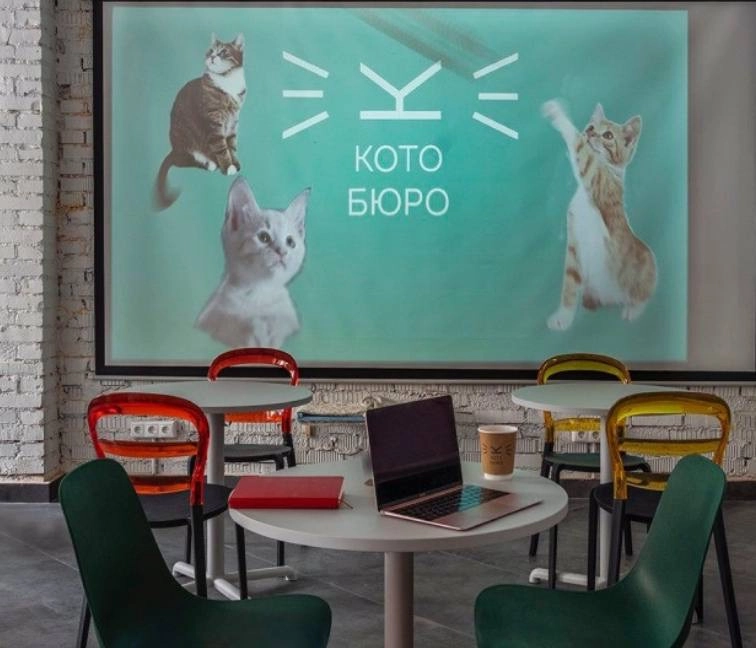 Первый коворкинг с котиками КотоБюро в Москве: Коворкинг , Коты, Коворкинг с котиками, В добрые руки , Место для работы , Антикафе, Кофейня- коворкинг , Для работы , Где работать , Аренда пространства , Аренда помещений , Аренда, Можно с ноутбуком , Фрилансер ,