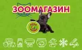 Миниатюра 4