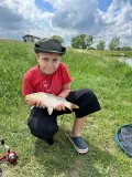 Миниатюра 5