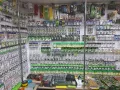 Миниатюра 7