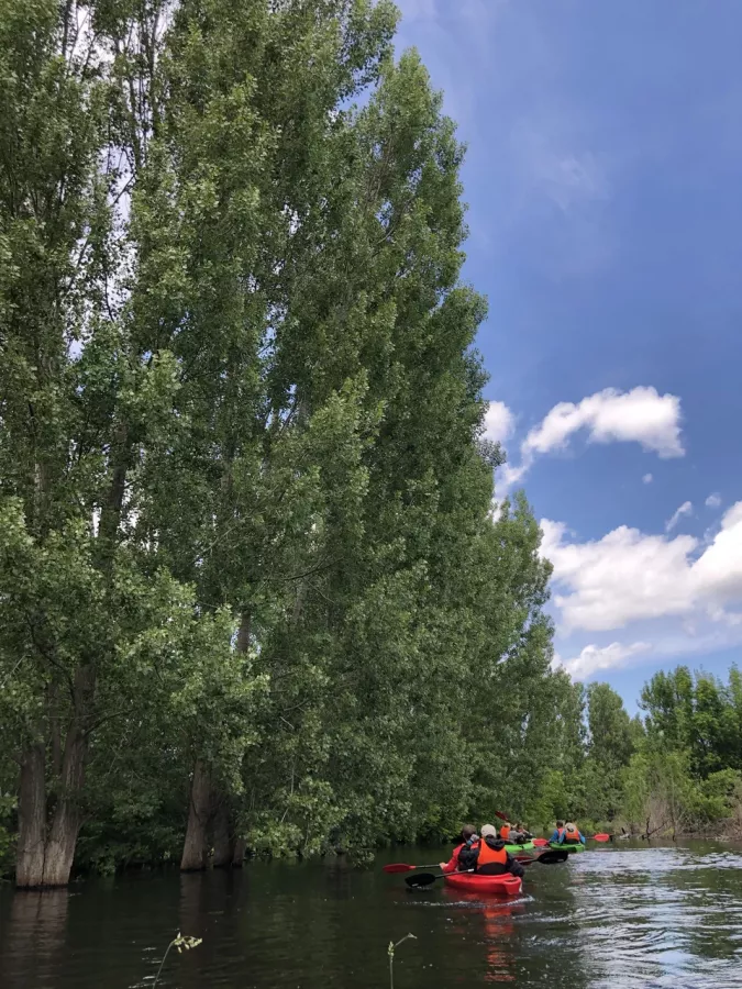 Прокат сапбордов Конко в Астрахани: Прокат сапбордов, Аренда сапбордов, Вечерние прогулки, Сплавы по реке, Дневной сплав с пикником , Прокат, Аренда, Спортивный отдых, Двухместный каяк , Развлечение,