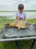 Миниатюра 8