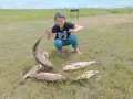Миниатюра 11