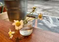 Миниатюра 18