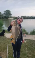 Миниатюра 4