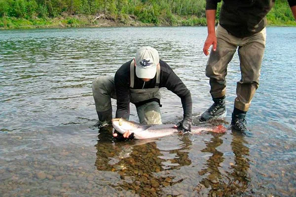 Дикий Север Тур. Туристический Клуб в Якутске: Рыбалка,