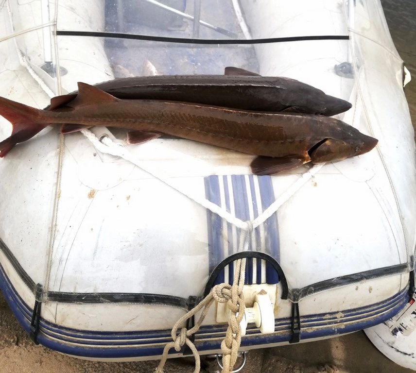 Дикий Север Тур. Туристический Клуб в Якутске: Рыбалка,