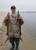 Миниатюра 7