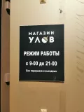 Миниатюра 11