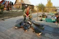 Миниатюра 12