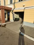 Миниатюра 8