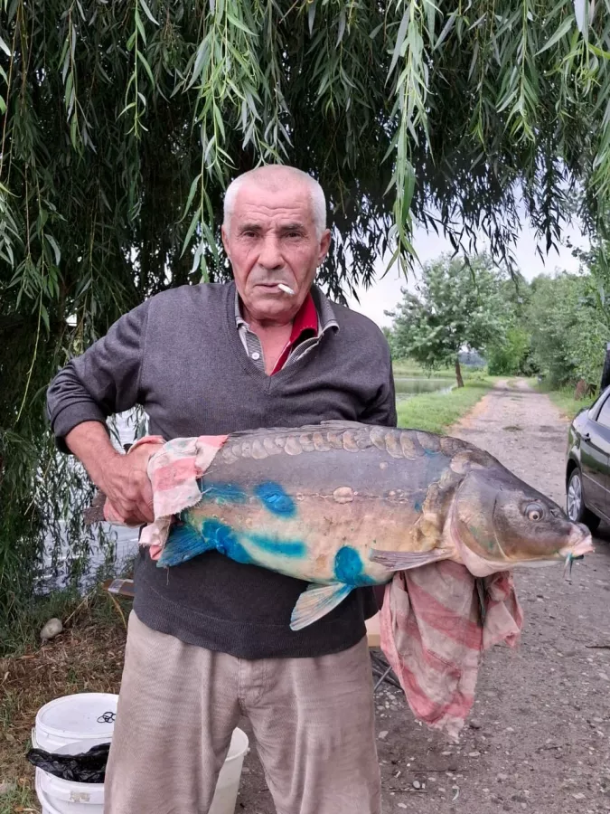 Рыбалка у Самвела. Рыболовный Клуб в Нальчике: Платная Рыбалка, Рыболовный Клуб, Рыбалка в Нальчике, Рыбалка на Озере, Рыбалка на Окуня, Рыбалка на Плотву , Рыбалка на Елец, Рыбалка на Язь, Рыбалка на Щуку, Рыбалка на Форель,