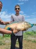 Миниатюра 10