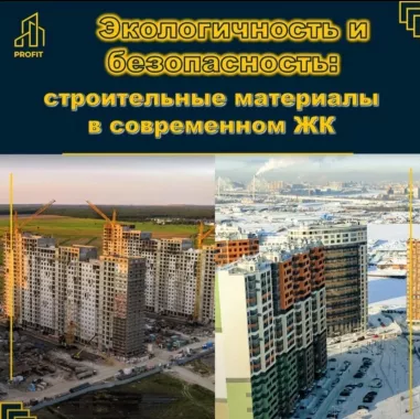 Агентство недвижимости The Profit