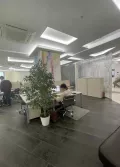 Миниатюра 11
