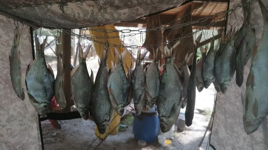 Донская вольница. Рыболовный Клуб в Волгограде: Рыбалка,