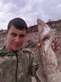 Миниатюра 8