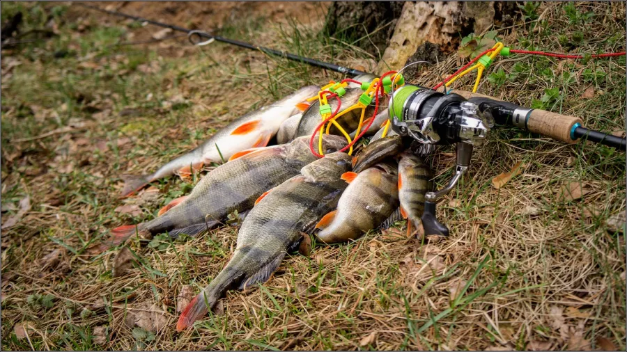 Уловки рыбака. Товары для Рыбалки в Новосибирске: Рыбалка,