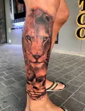 Миниатюра 1