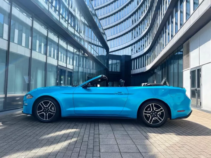 RITZCAR - Аренда автомобилей круглосуточно в Адлере: Авто с Водителем, Аренда, Каршеринг, 