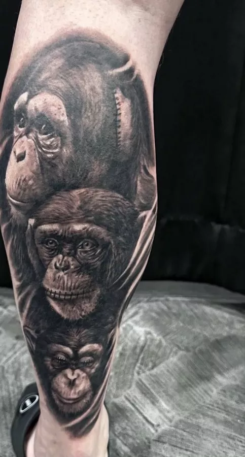 Тату-Студия Mayhem Ink в Пхукете: Хобби, Тату, Студия,