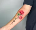 Миниатюра 8