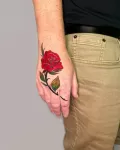 Миниатюра 10