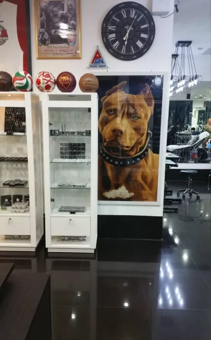 Тату-Студия Pitbull в Пхукете: Хобби, Тату, Студия, 