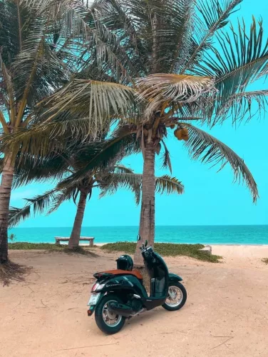 Прокат Мотоциклов Phuket Scooter Rental в Пхукете