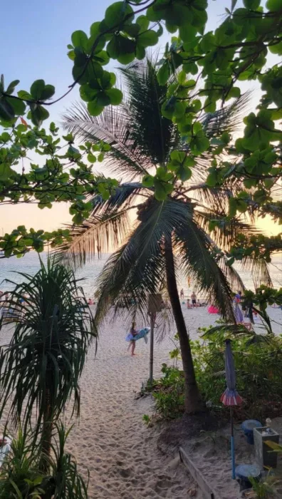 Прокат Мотоциклов Phuket Scooter Rental в Пхукете: Мото, Скутеры, Мотоциклы, Аренда, 