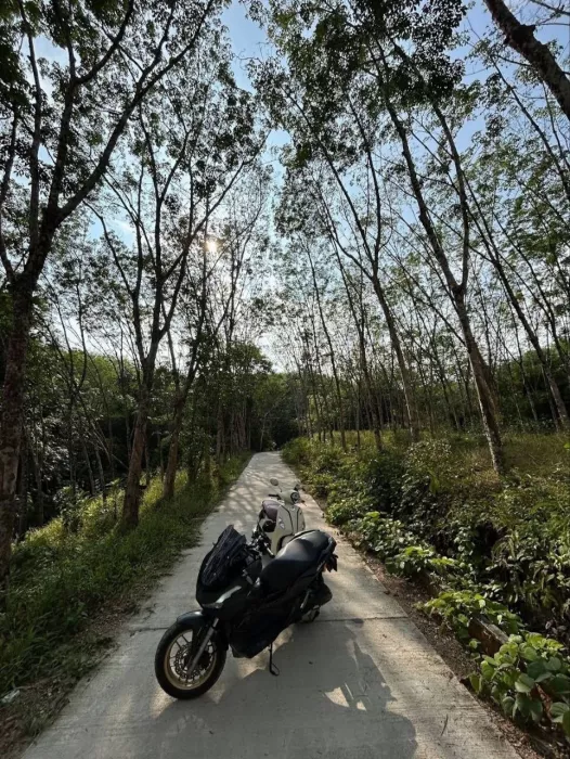 Прокат Мотоциклов Motorbike Rentals Phuket в Пхукете: Мото, Мотоциклы, Скутеры, Аренда, 