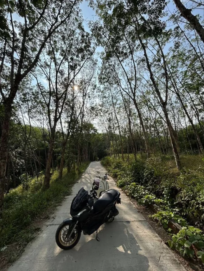 Прокат Мотоциклов Motorbike Rentals Phuket в Пхукете: Мото, Мотоциклы, Скутеры, Аренда,