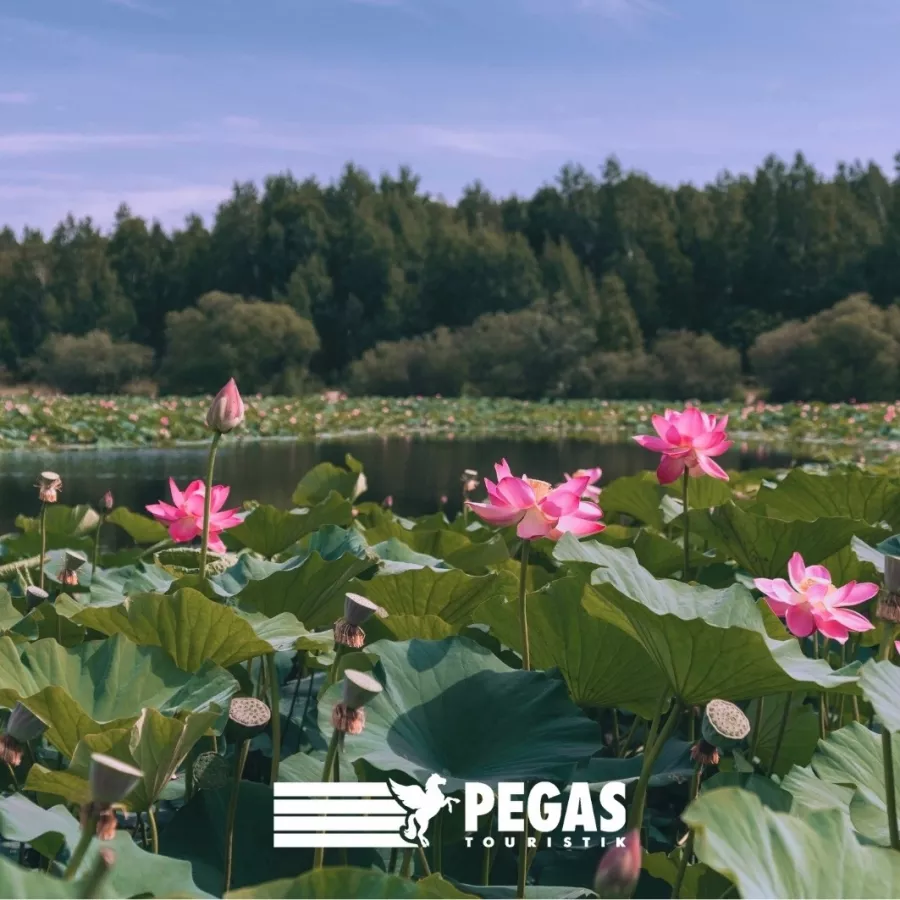 Туристическое агентство Pegas Touristik на Кулахметова в Казани: Турагентство, Турфирма, Турист, Туры, Туризм, Горящие туры, Чилим, Отпуск, Путешествие, Море, Travel, Travelling, Sea, Trip, Rest,