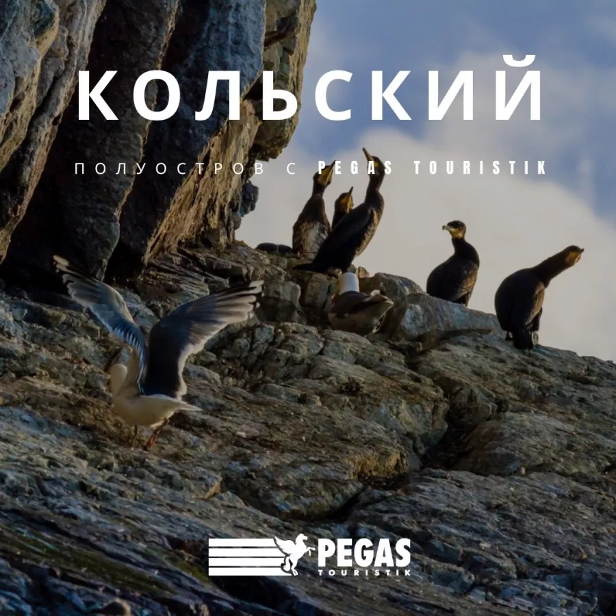 Туристическое агентство Pegas Touristik на Кулахметова в Казани: Турагентство, Турфирма, Турист, Туры, Туризм, Горящие туры, Чилим, Отпуск, Путешествие, Море, Travel, Travelling, Sea, Trip, Rest,
