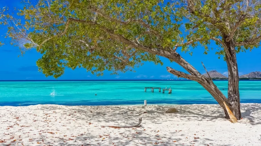 Туристическое агентство Pegas Touristik на Краснококшайской в Казани: Тур, Турагентство, Туризм, Отпуск, Море, Путешествие,