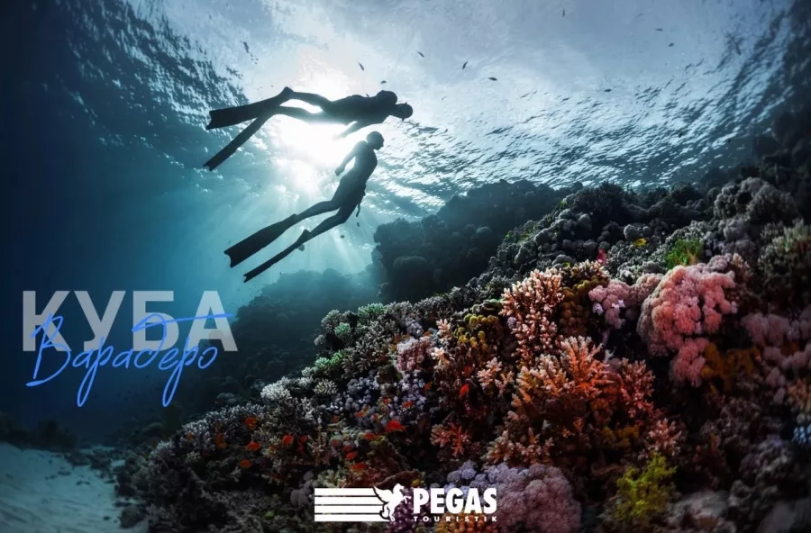 Туристическое агентство Pegas Touristik на Краснококшайской в Казани: Тур, Турагентство, Туризм, Отпуск, Море, Путешествие,