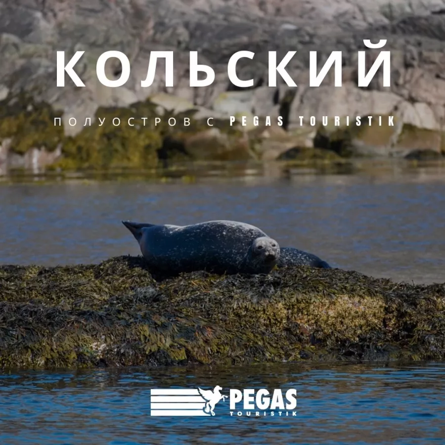 Туристическое агентство Pegas Touristik на Краснококшайской в Казани: Тур, Турагентство, Туризм, Отпуск, Море, Путешествие,