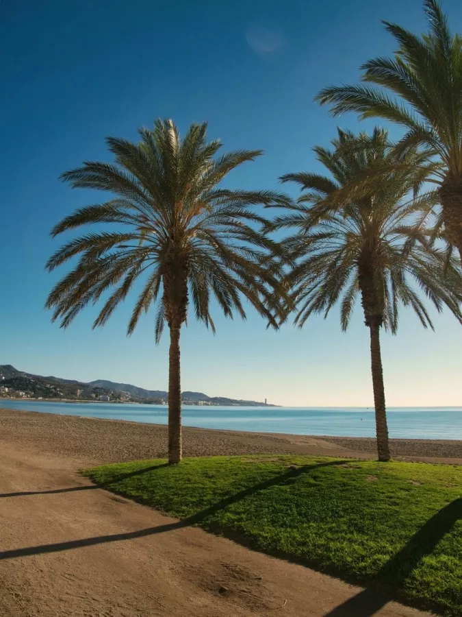 Туристическое агентство Туземец на Юлиуса Фучика в Казани: Тур, Путешествие, Турагентство, Туризм, Отпуск, Море,