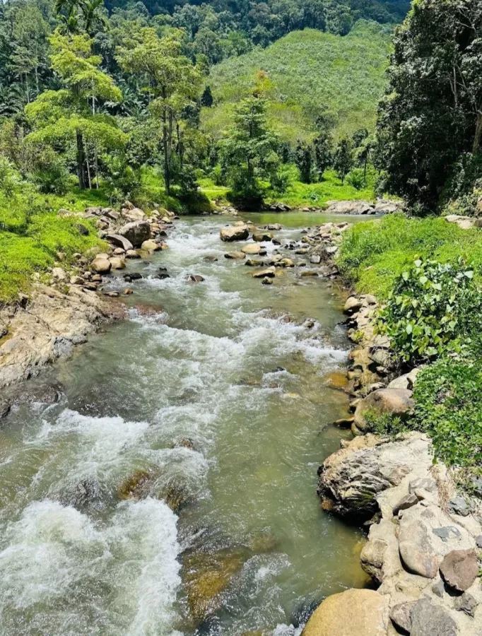 Турагентство Thai Adventure Club в Пхукете: Рафтинг, Зиплайн, Квадроциклы, Слоны, Водопады, Rafting, Zipline, ATV, Elephants, Waterfalls, Swimming, Плавание,