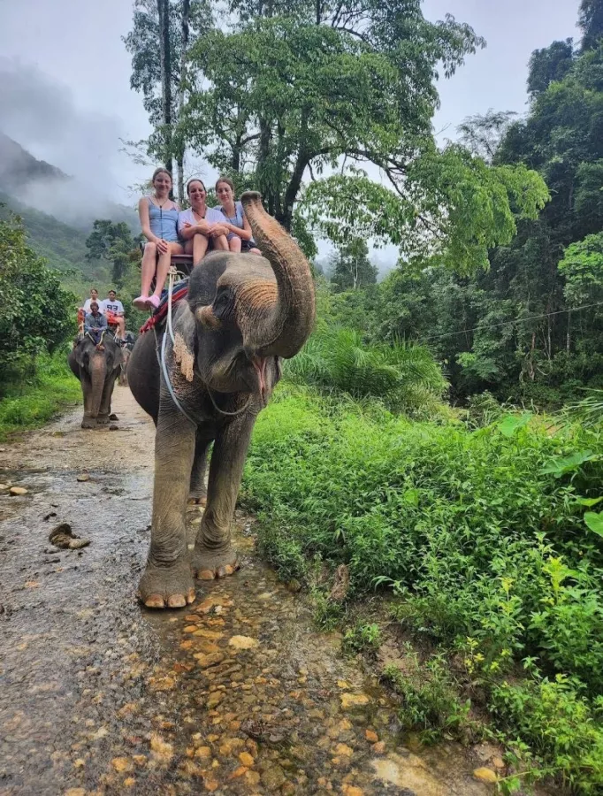 Турагентство Thai Adventure Club в Пхукете: Рафтинг, Зиплайн, Квадроциклы, Слоны, Водопады, Rafting, Zipline, ATV, Elephants, Waterfalls, Swimming, Плавание,