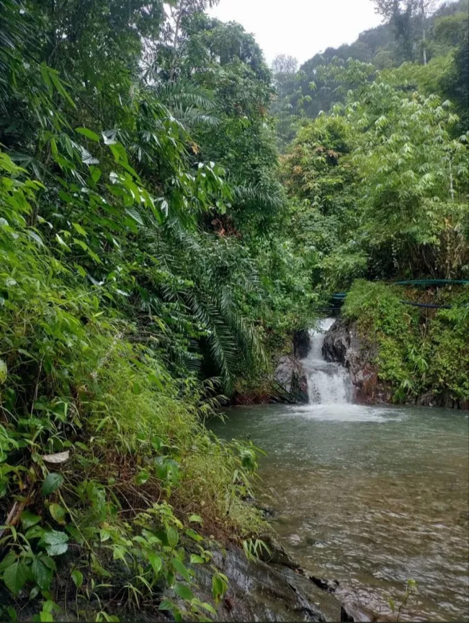 Турагентство Thai Adventure Club в Пхукете: Рафтинг, Зиплайн, Квадроциклы, Слоны, Водопады, Rafting, Zipline, ATV, Elephants, Waterfalls, Swimming, Плавание,