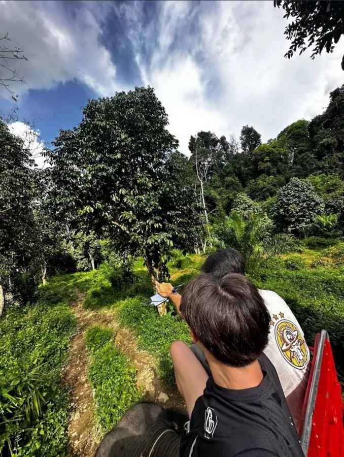 Турагентство Thai Adventure Club в Пхукете: Рафтинг, Зиплайн, Квадроциклы, Слоны, Водопады, Rafting, Zipline, ATV, Elephants, Waterfalls, Swimming, Плавание,