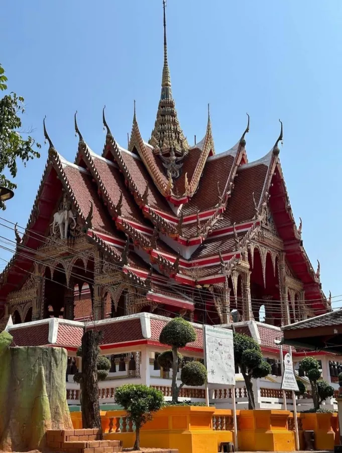Турагентство Thai Adventure Club в Пхукете: Рафтинг, Зиплайн, Квадроциклы, Слоны, Водопады, Rafting, Zipline, ATV, Elephants, Waterfalls, Swimming, Плавание,