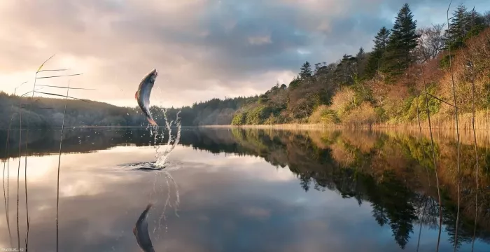 Клёвые озерки. Рыболовный Клуб  в  Екатеринбурге