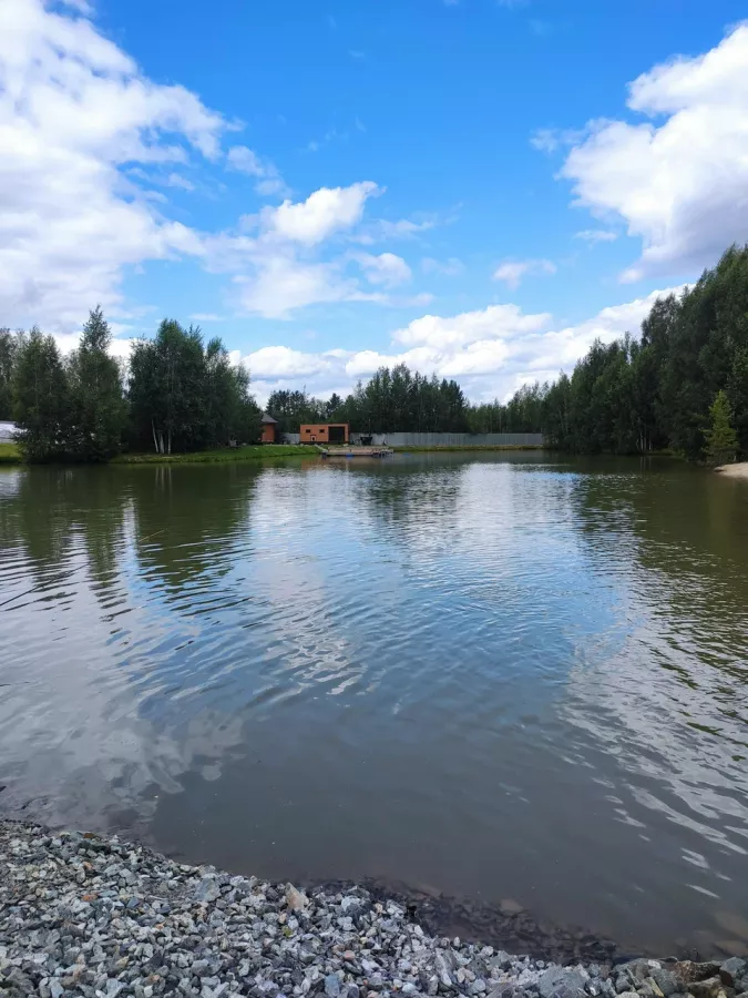 Клёвые озерки. Рыболовный Клуб в Екатеринбурге: Рыбалка,