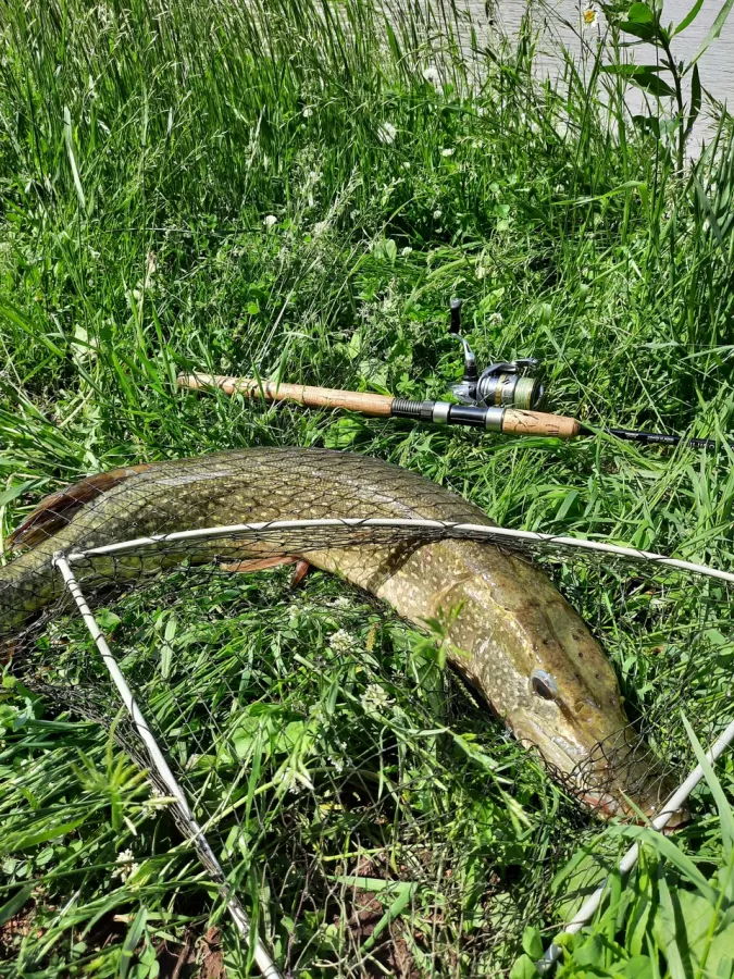 Клёвые озерки. Рыболовный Клуб в Екатеринбурге: Рыбалка,